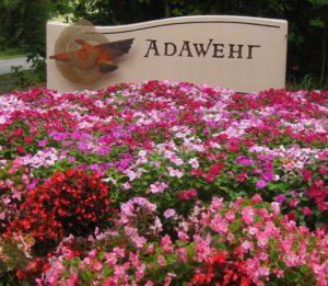 Adawehi Wellness Village Entrance