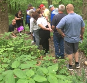 Adawehi Plant Walk