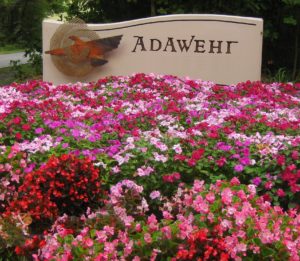 Welcome to Adawehi!
