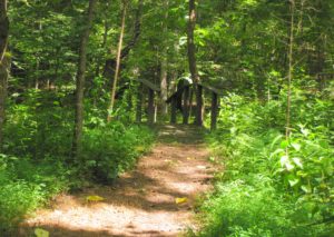 Walking Trails at Adawehi