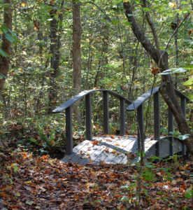 Walking Trails at Adawehi