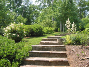 Adawehi Healing Center Grounds