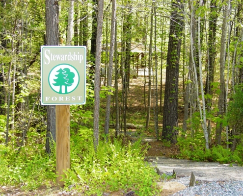 Stewardship Forest at Adawehi