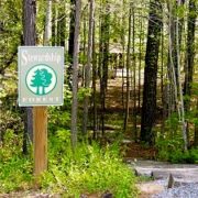 Adawehi Stewardship Forest