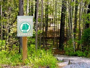 NC Stewardship Forest designation