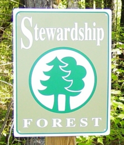 NC Stewardship Forest designation at Adawehi