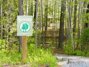 Adawehi Stewardship Forest
