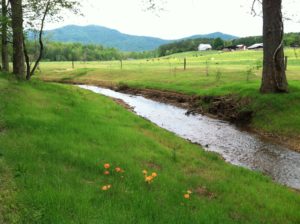 White Oak Creek at Adawehi